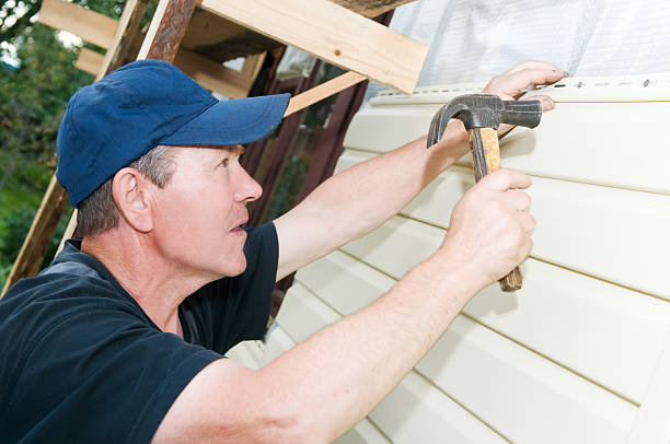 Best Vinyl Siding Installation  in Horn Lake, MS