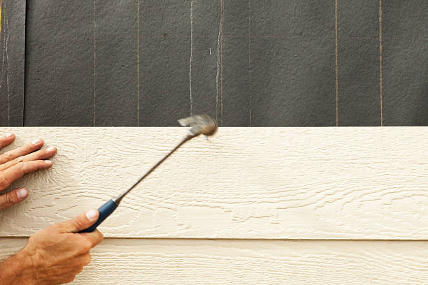 Best Custom Siding Design  in Horn Lake, MS